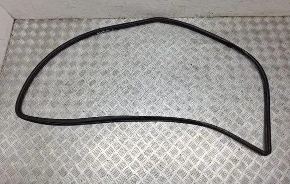 Toyota Avensis T270 Front door rubber seal 6231105050C0