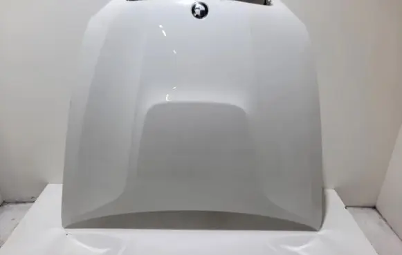 BMW X6 E71 Engine bonnet/hood