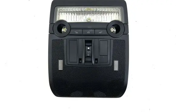 BMW X5 E70 Front seat light 61319166722 9166722