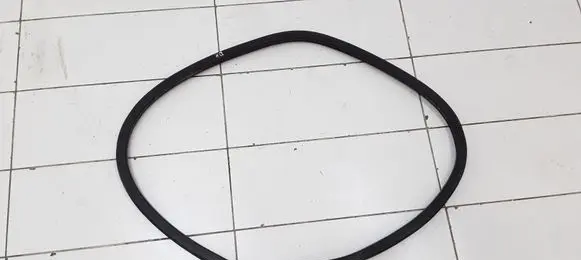 Renault Megane II Rubber seal front coupe door window 