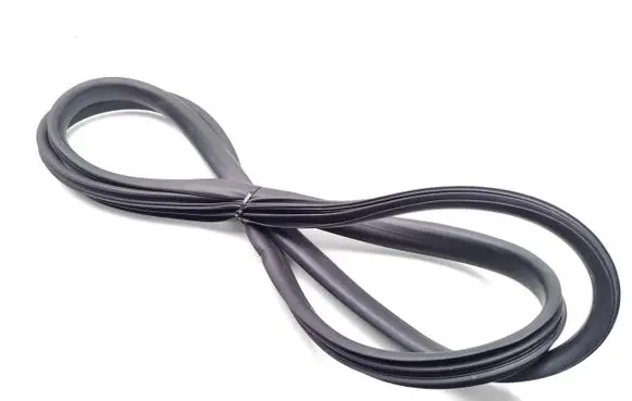 Dacia Sandero Rubber seal rear door 