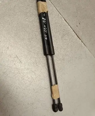 Tailgate/trunk strut/damper