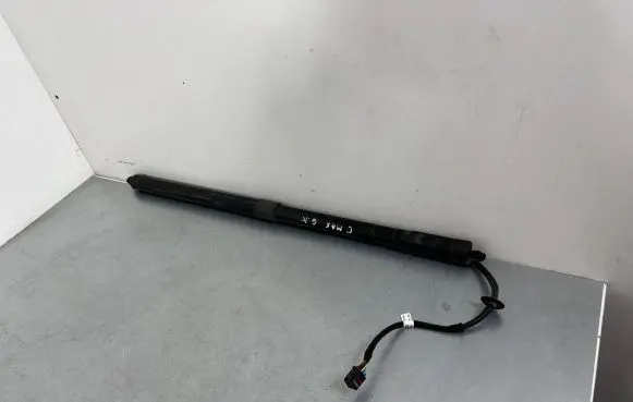 Tailgate/trunk strut/damper