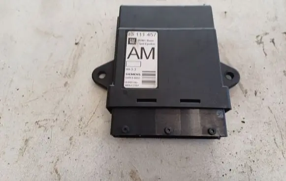 Opel Vectra C Door control unit/module 13111457