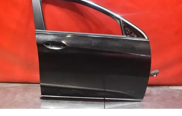 Opel Insignia A Front door 
