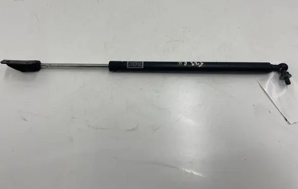 Front bonnet/hood damper/strut