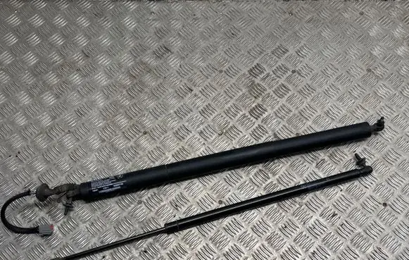 Tailgate strut