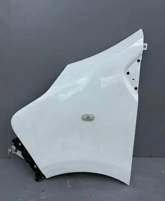 Renault Trafic III (X82) Fender 631016242R