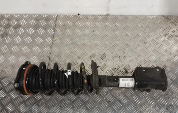 Fiat 500X Front shock absorber with coil spring 00520298140