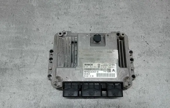 Engine control unit/module ECU