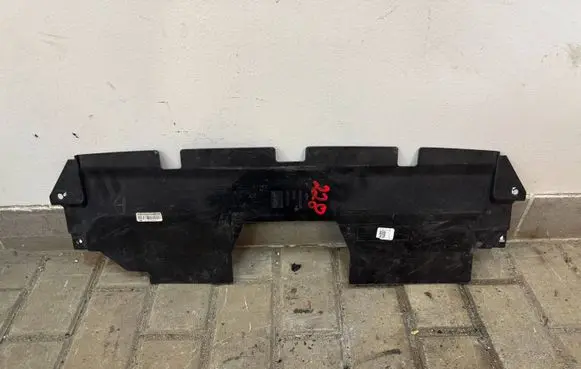 Engine bonnet/hood lock trim molding
