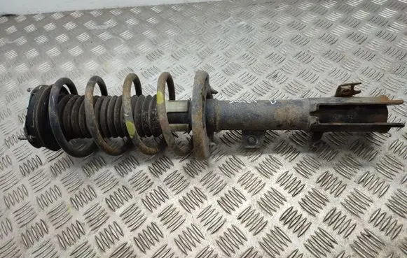 Ford Ecosport Front shock absorber/damper