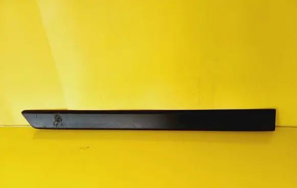 Rear door trim (molding)