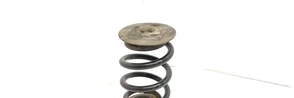 BMW 3 E46 Rear coil spring
