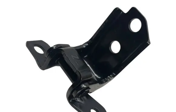 Rear door lower hinge