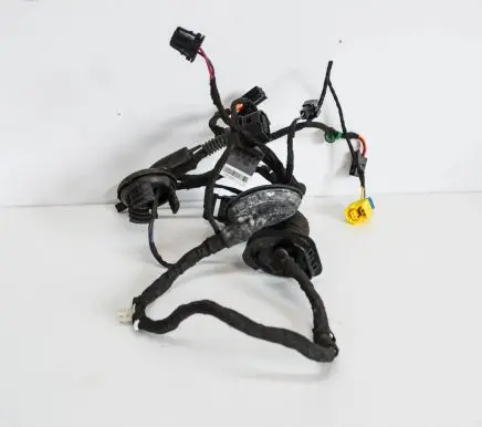Front door wiring loom