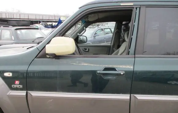 Hyundai Terracan Rear door