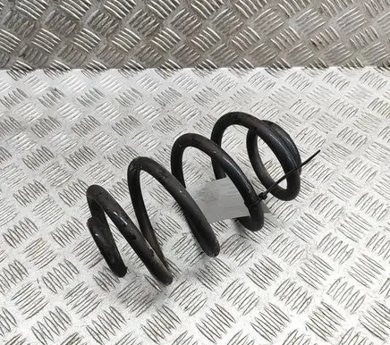 Nissan Leaf II (ZE1) Rear coil spring 550205SJ1B