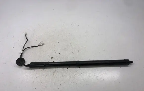 Infiniti FX Tailgate/trunk strut/damper 905603FY0A