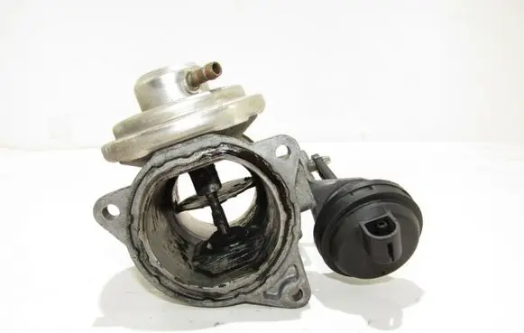 EGR valve