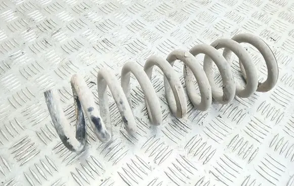 Rear coil spring