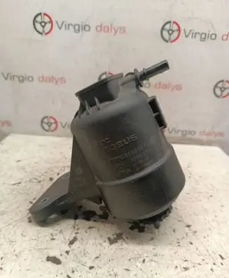 Renault Kangoo III Fuel filter 164009757R A6080903200 064202