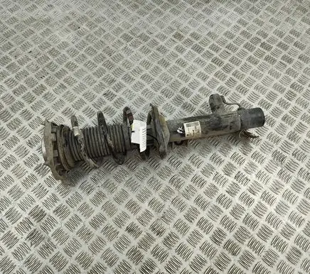 Skoda Enyaq iV Front shock absorber/damper 1EA413032R