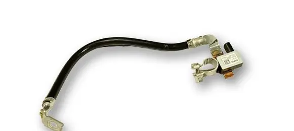 BMW 2 G42 Negative earth cable (battery) 61219855909 61219442115 9855909
