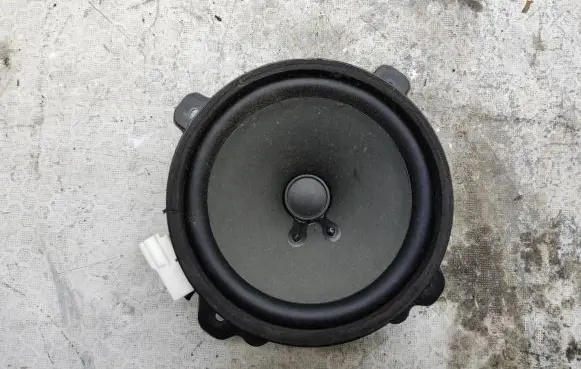 Chevrolet Captiva Front door speaker 25907869 C100A1