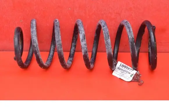 Ford Transit - Tourneo Connect Rear coil spring