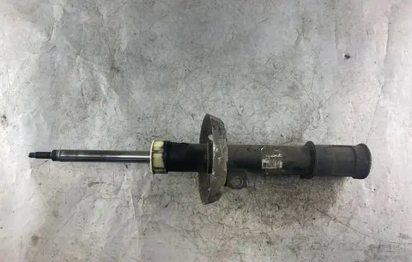Opel Zafira A Front shock absorber/damper 22194341 24434746