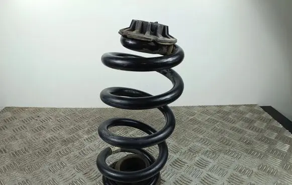 Dodge Durango Rear coil spring