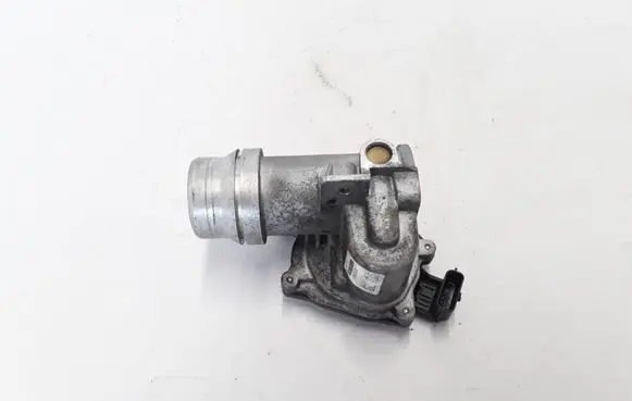 Renault Megane III Throttle valve