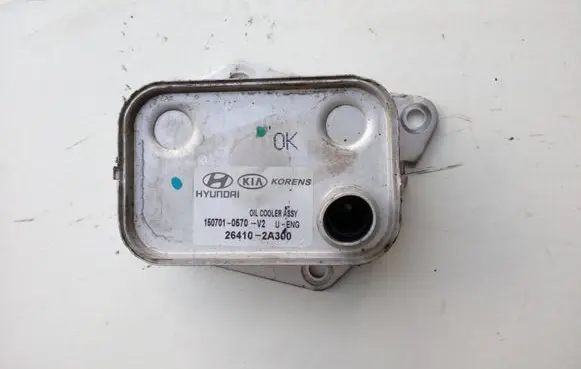 Hyundai Tucson TL Oil filter mounting bracket 264102A300 1507010570