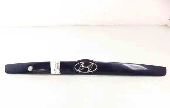 Hyundai Elantra Trunk door license plate light bar 