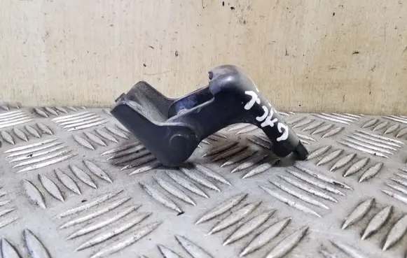 Renault Scenic III - Grand scenic III Rear door lower hinge 804200003RH