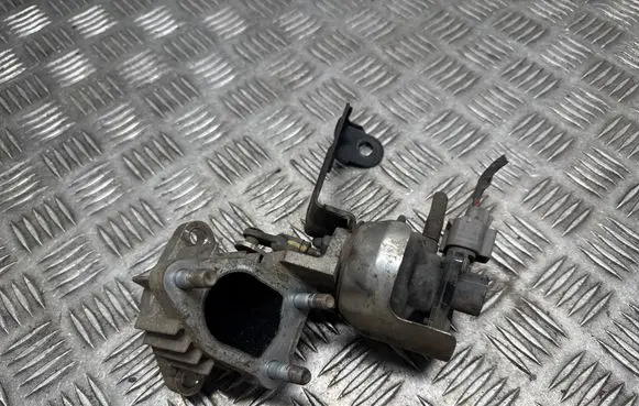 EGR valve