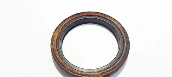Coil spring mount