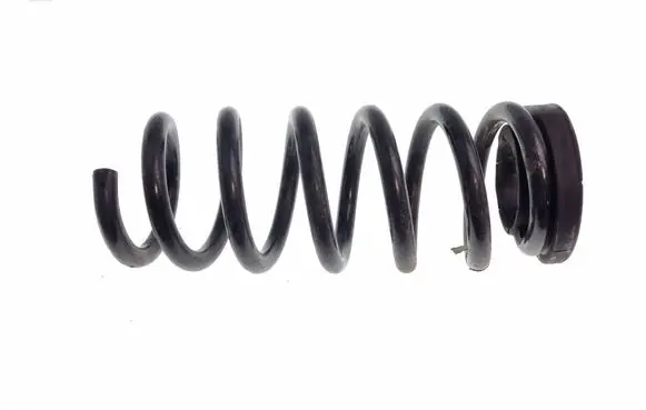 Ford Edge II Rear coil spring F2GC5560CND