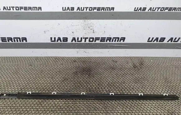 KIA Rio Front door glass trim molding