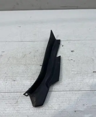 Rear/tail light trim molding