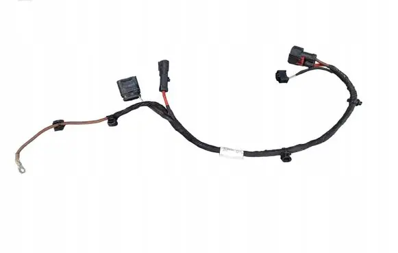 Other wiring loom