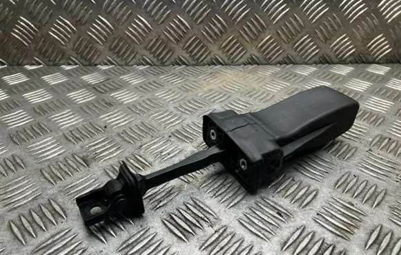 Seat Arona Rear door check strap stopper 6F0839249