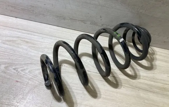 Rear coil spring