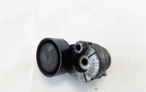 Renault Laguna III Timing belt/chain tensioner 8200460446
