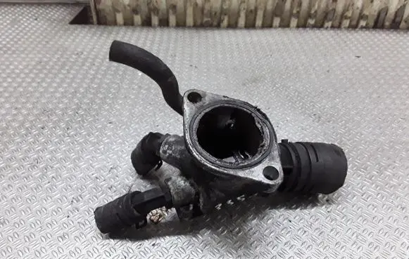 Thermostat/thermostat housing