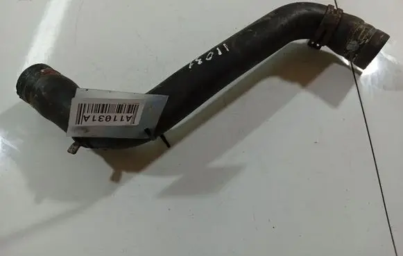 Renault Clio III Engine coolant pipe/hose 